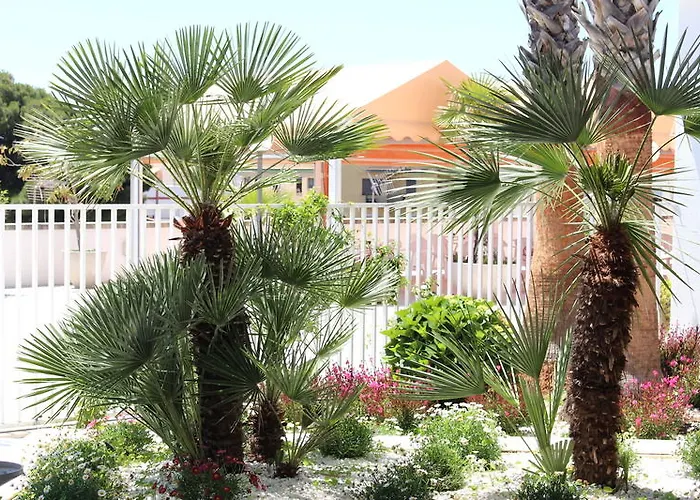 Lloret Splash Lloret de Mar